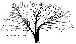 comp-tree.png